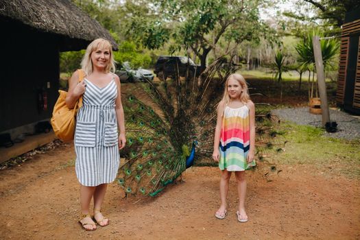 Family mom and daughter next to a large peacock in a park on the island of Mauritius.