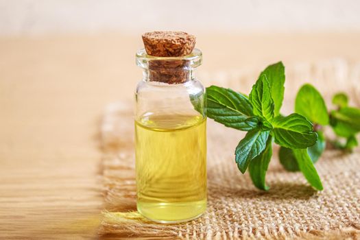 nettle extract in a small jar. Selective focus.