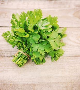 Fresh homemade herbs from the parsley garden. Selective focus. nature.