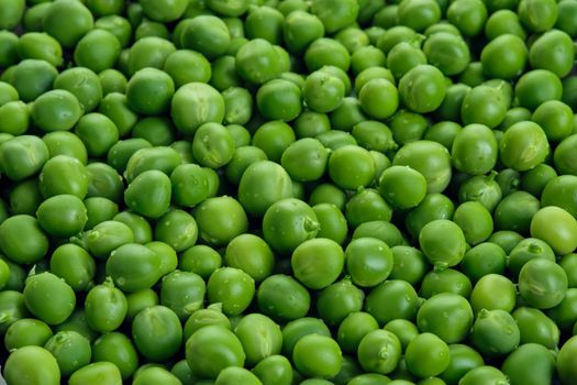 Fresh green pods or peas rotating. Peas background. Top view.