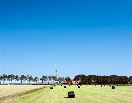 farm and fields with wind turbine in wieringermeer noord holland under blue sky in summer