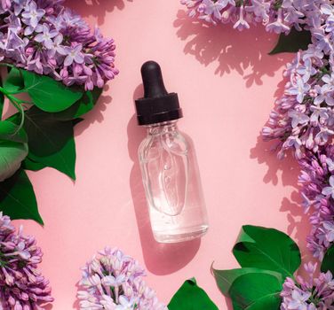 A bottle of perfume and lilac on a pink background . Women's perfume. Spring fragrance. Aromatherapy. Nice smell. Beauty and fashion. Article about the choice of fragrance. An article about current flavors . copy space. A branch of lilac. Nature