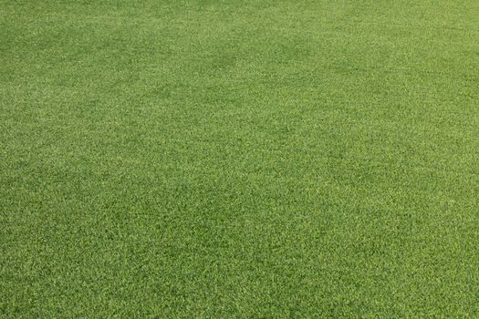 Green grass texture background. Green artificial grass.