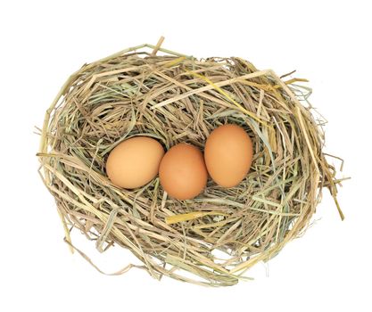 Chicken eggs in the straw nest isolated on white background