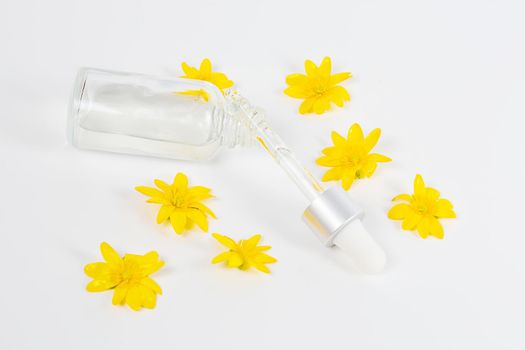 A bottle with a pipette serum on a white background surrounded by yellow spring flowers