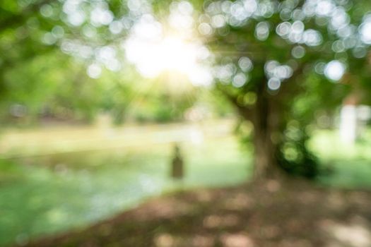 Green toned blurred nature bokeh public park with several trees backgound.