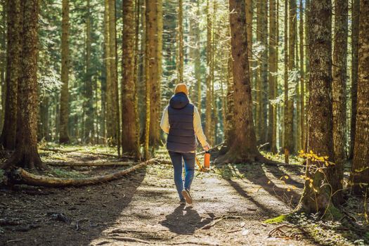A woman in warm clothes enjoys a walk in a pine forest.