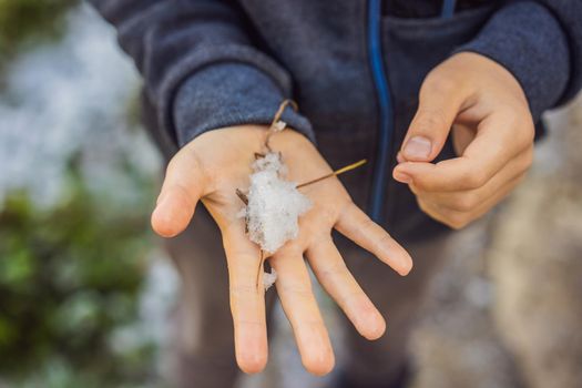 The child enjoys the first snow, holds it in his hands and examines the first flakes of snow. Winter has come.