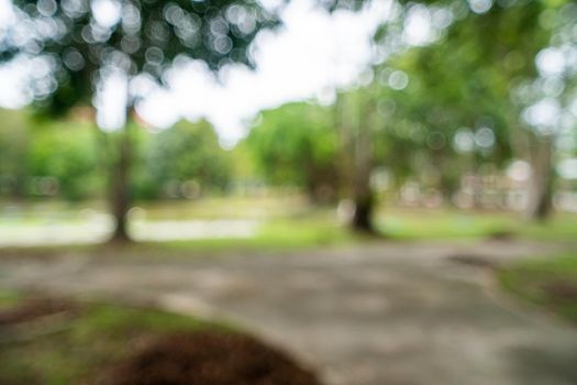 Green toned blurred nature bokeh public park with several trees backgound.