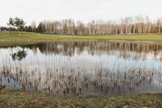 spring landscape, forest lake in spring surrounded by trees, calm water surface with reflection, bright sunlight and blue sky.