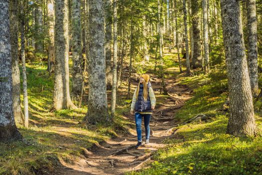 A woman in warm clothes enjoys a walk in a pine forest.