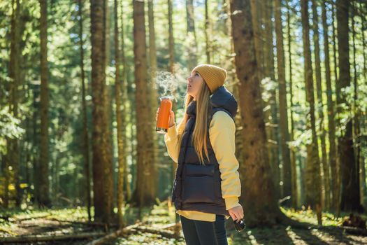 Woman in warm clothes drinking tea enjoys a walk in a pine forest.