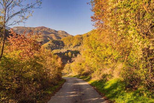 Beautiful autumn view of yellow trees, road and mountains, Montenegro.