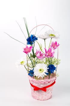 Composition with artificial flowers in a pot on white background. Ekibana from white, pink and blue artificial gerberas and green leaves.