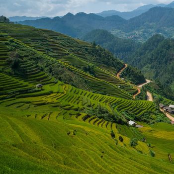 Terraced rice field landscape near Sapa in Vietnam. Mu Cang Chai Rice Terrace Fields stretching across the mountainside, layer by layer reaching up as endless, with about 2,200 hectares of rice terraces, of which 500 hectares of terraces of 3 communes such as La Pan Tan, Che Cu Nha and Ze Xu Phinh.