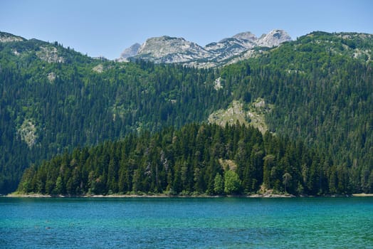 Landscape with a coniferous forest near a mountain lake in Montenegro, Durmitor, Black Lake.