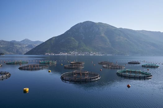 Seascape with fish farms against mountain in Montenegro.