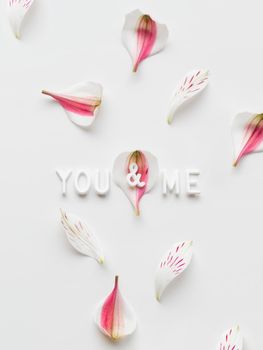 Top view on words YOU and ME on white background with pink petals. Vertical romantic backdrop.