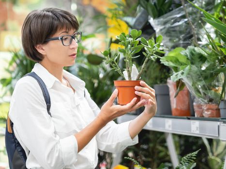 Woman chooses succulent plants for home. Shelves with seedlings, flowering plants and seeds in flower shop. Indoor agronomic market.