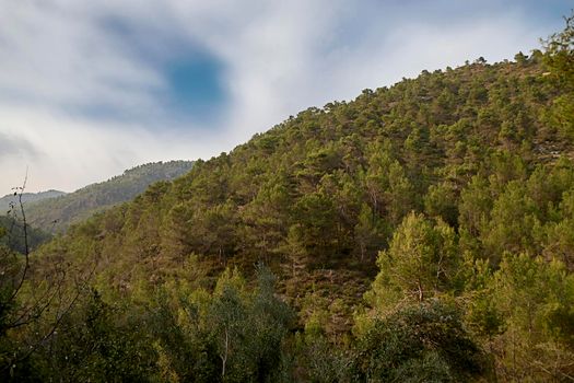 MOUNTAIN FULL OF PINE TREES WITH CLOUDY SKIES. CLOUDS WITH MOVEMENT EFFECT, FRONT VIEW, TWO MOUNTAINS