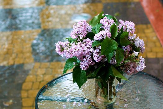 Lilac branches in a glass vase in the rain in the old town