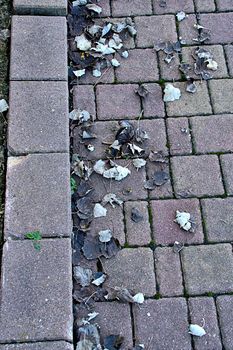 Stone path with fallen autumn leaves. Horizontal and vertical lines, low saturation, overhead view