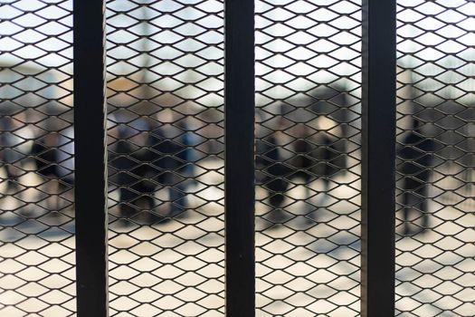 Mesh fence. Fence in detail. Black metal. Security zone. Silhouettes of people behind mesh fence.