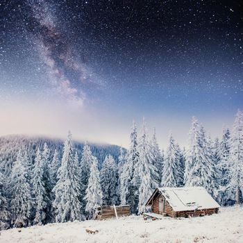 Dairy Star Trek in the winter woods. Cabin in the mountains. Dramatic and picturesque scene. Carpathian, Ukraine, Europe