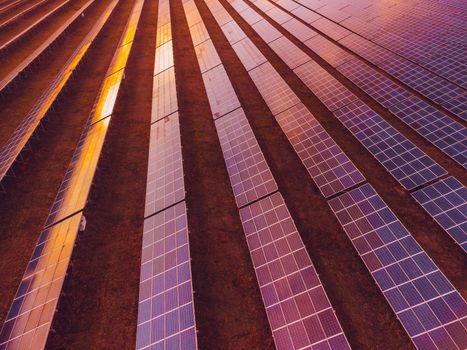 Aerial top view of a solar panels power plant. Photovoltaic solar panels at sunrise and sunset in countryside from above. Modern technology, climate care, earth saving, renewable energy concept