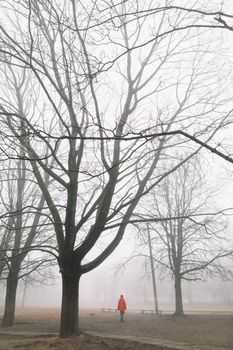 silhouette of man in the foggy morning in autumn forest. High quality photo