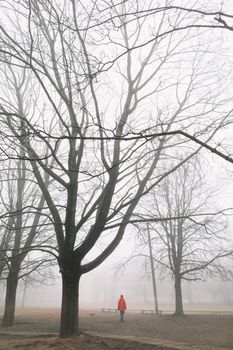 silhouette of man in the foggy morning in autumn forest. High quality photo