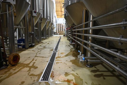 Photo of containers with brewing beer at a beer production