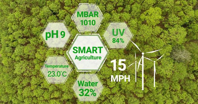 Smart digital agriculture technology by futuristic sensor data collection management by artificial intelligence to control quality of crop growth and harvest. Computer aided plantation grow concept.