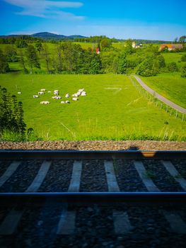 Beautiful view from running train to green hills with cows