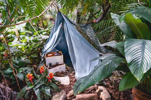 MOSCOW, RUSSIA - March 13, 2017. Decorative tent and wooden boxes with bottles among tropical trees and plants. Exhibition in Botanical Garden of Lomonosov Moscow State University Apothecary Garden.