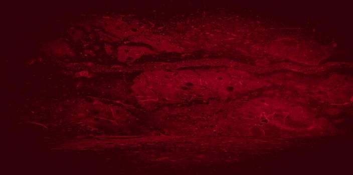 Old wall texture cement black red background abstract dark color design are light with white gradient background