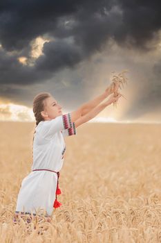 girl in an embroidered shirt on a wheat field and a sunset sky