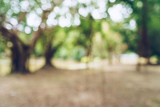 Green toned blurred nature bokeh public park with several trees backgound.