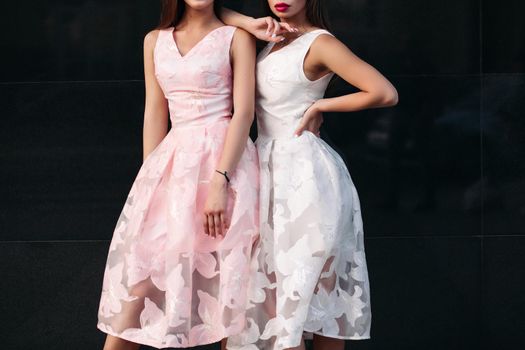 Portrait of two beautiful luxury brunette women dressed in lush dresses on heels. Joyful and mysterious women are posing for the camera.