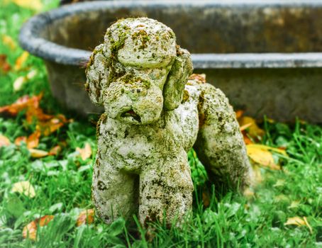 Decoration stone sculpture of the poodle dog in the garden