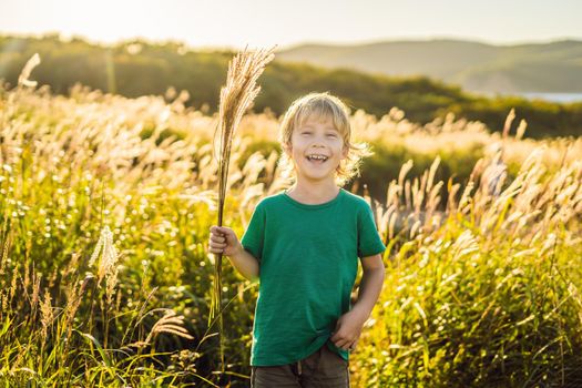 Beautiful happy smiling little boy among the cornfields touching plants with his hands.