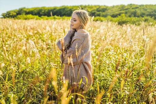 Young beautiful woman in autumn landscape with dry flowers, wheat spikes. Fashion autumn, winter. Sunny autumn, Cozy autumn sweater. fashion photo.