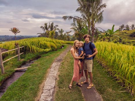 Beautiful view of Balinese traditional fields. Nature walk in green rice terrace. Happy mother and father hold happy little baby traveler. Travel adventure with child, family summer vacation in Bali, Indonesia.