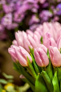 Close-up of pink tulips in flower shop with other flowers at the background. Bouquet of flowers for sale.