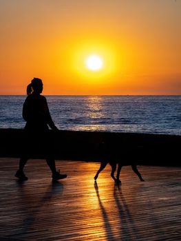 Silhouette of a woman dog walking with her dog during the sunset at a promenade. Sun is shining and the solar path is reflected from wooden pedestrian zone. Barcelona, Spain