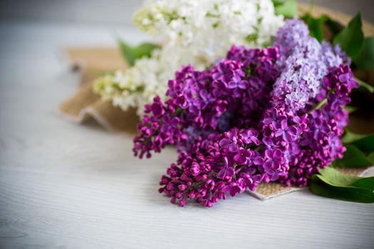 Bouquet of beautiful spring lilacs of different colors on a wooden table