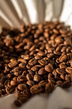 Roasted coffee beans are placed in paper coffee filter with warm sunlight