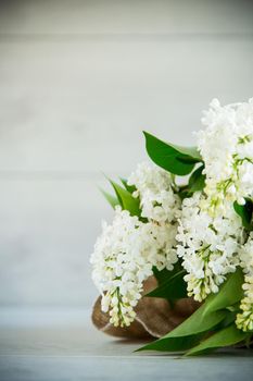 Bouquet of beautiful spring lilacs of different colors on a wooden table