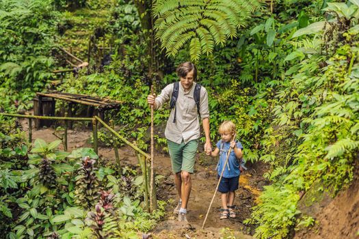 Family in hiking. Dad and son walking in the forest with trekking sticks.