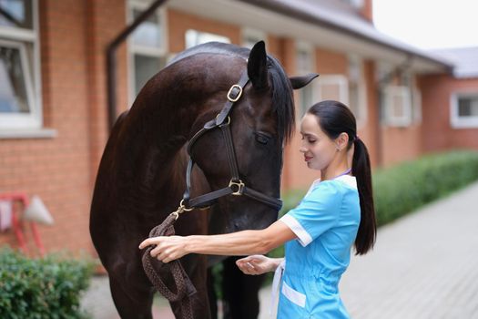 Woman veterinarian makes medical examination of horse on farm. Livestock and care for horses and cattle concept